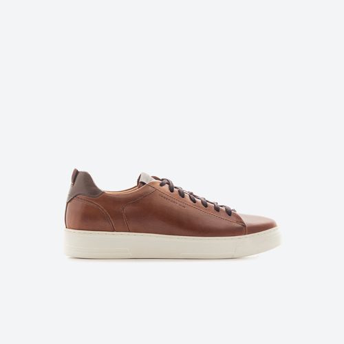 The City Lowtop Sneaker Tenis Freeport Hombre