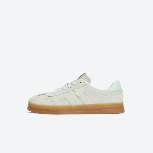 Tenis Tommy Shoes Greenwich Mujer